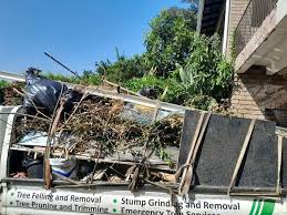 Best Yard Waste Removal  in Deerfield, MI